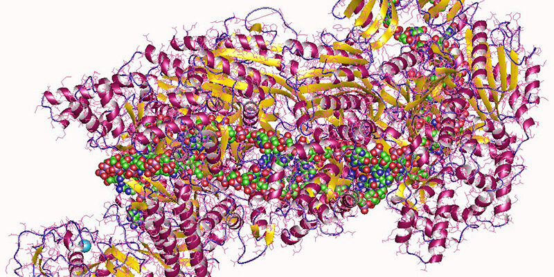 CRISPR