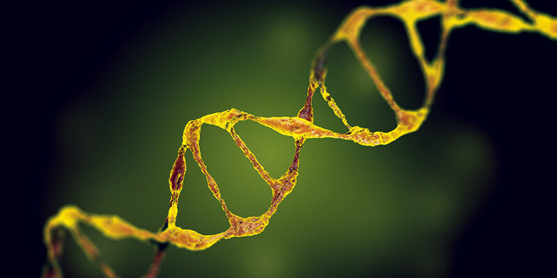 dna helix