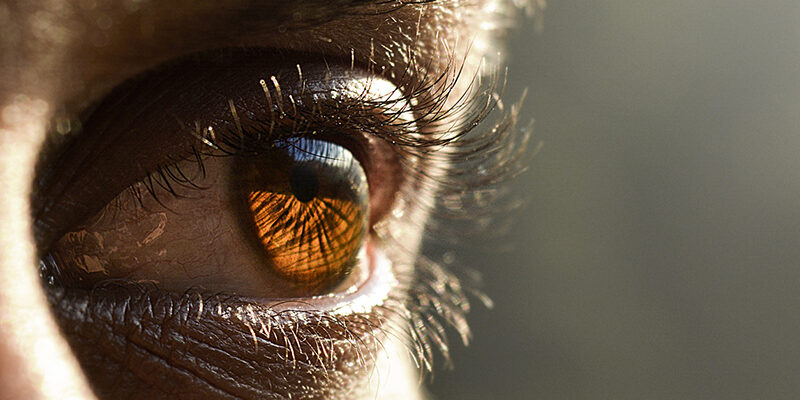 eye